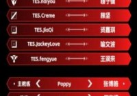 哥哥救一下吧友们怎么点评TES榜首赛段体现